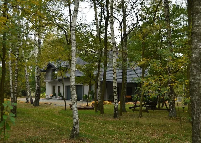 Zofijowka