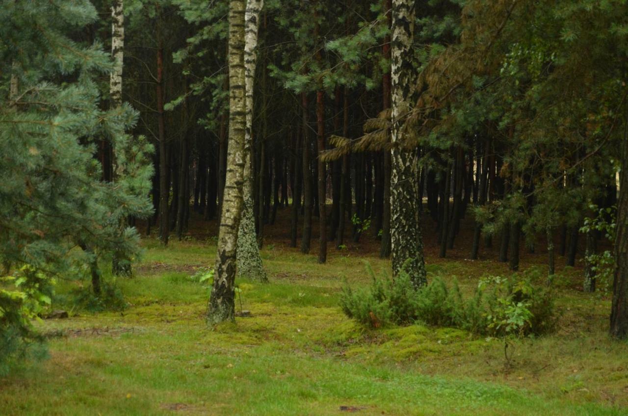 Ferienhaus Zofijowka Osjaków